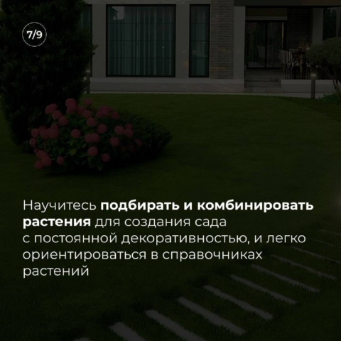 изображение_2025-02-18_000354344