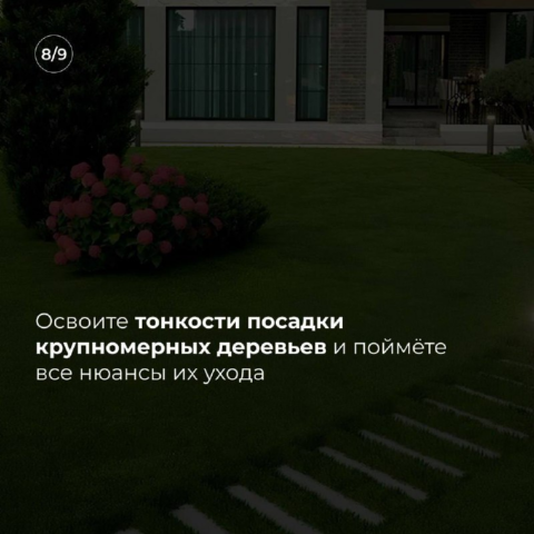 изображение_2025-02-18_000409672