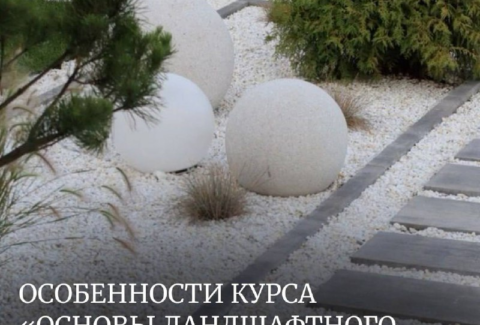 изображение_2025-02-18_001429073